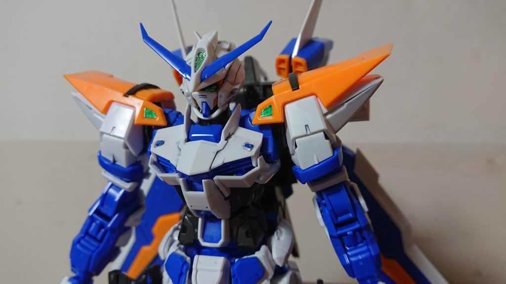 上半身のアップ