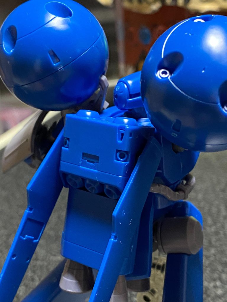 肩に球が付いているから私はタマコと呼んでいます(*≧∀≦*)