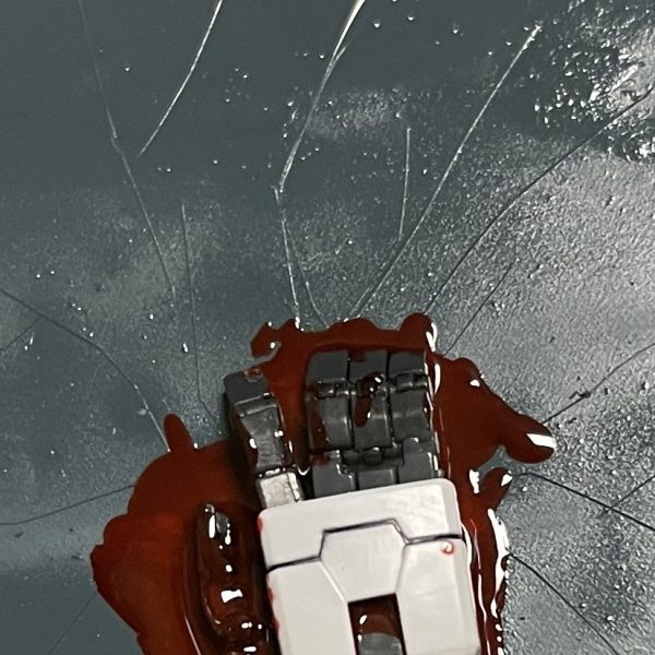 閲覧注意フレッシュトマト