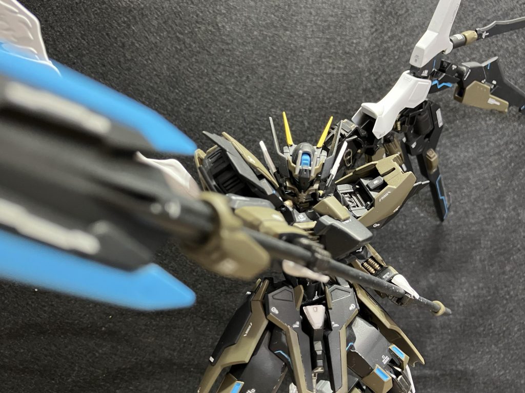 一番いい角度で撮れた写真