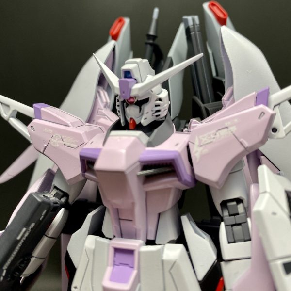 デスティニーガンダム（レイ・ザ・バレル専用機）