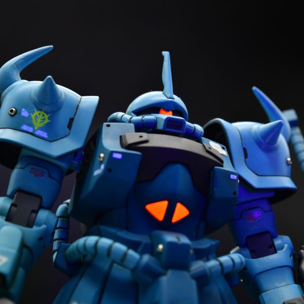 HG グフカスタム