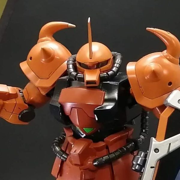 MG グフカスタム 西○カラー