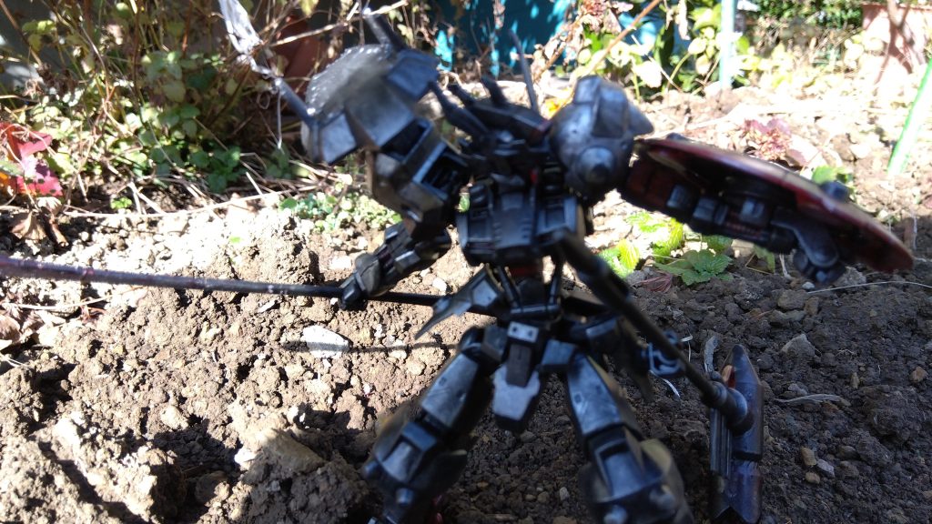 野外撮影、今日は調子悪い。