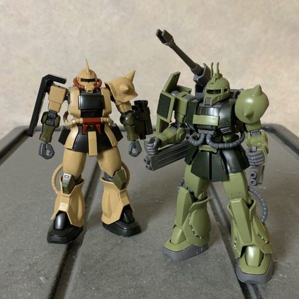 沙漠軍団 が襲来するぞ !