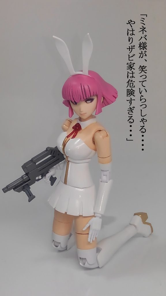 ハマーン様もビビるサイコパスザビ家