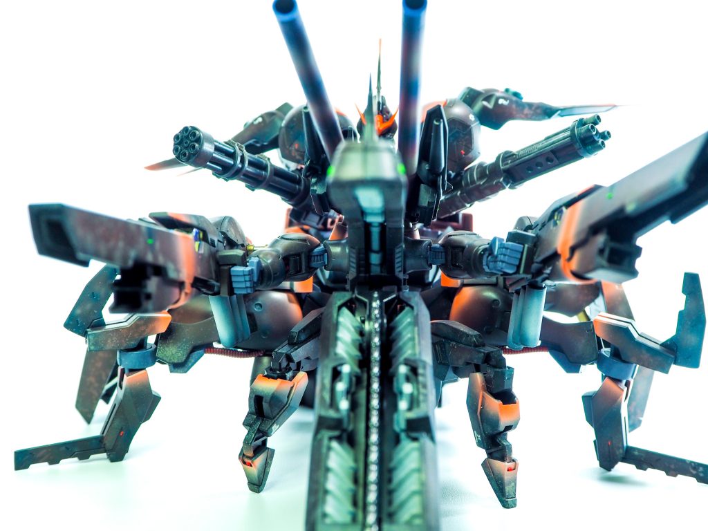 こいつに睨まれたら、逃げられない🤣