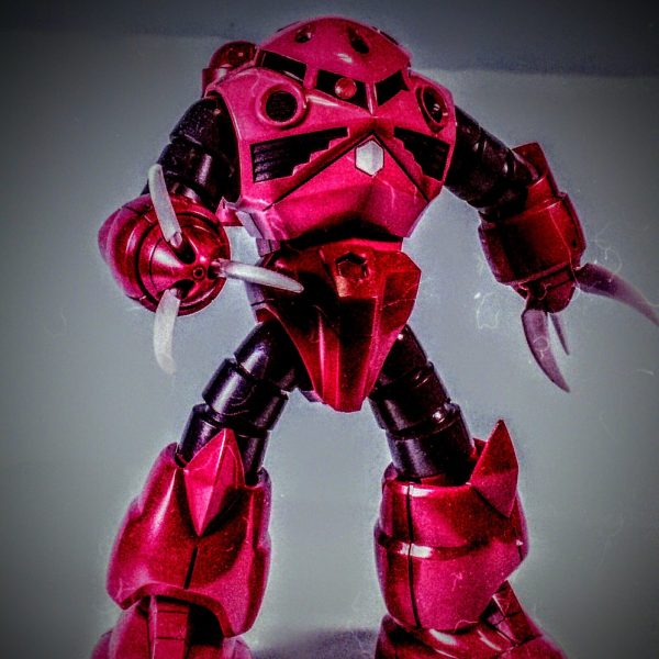 HGUC19　シャア専用ズゴック！