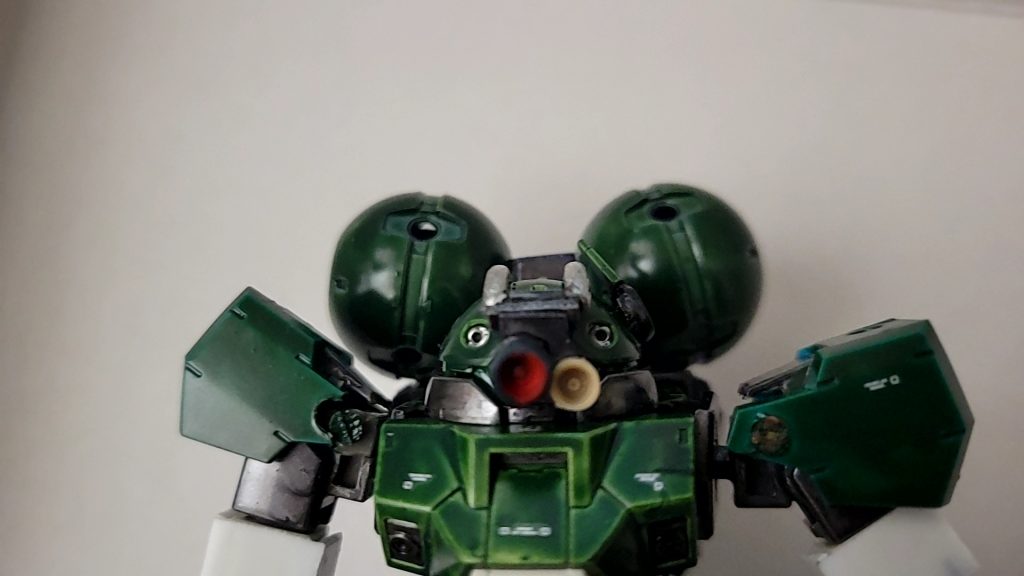 正面から見るとチュチュの頭みたいに