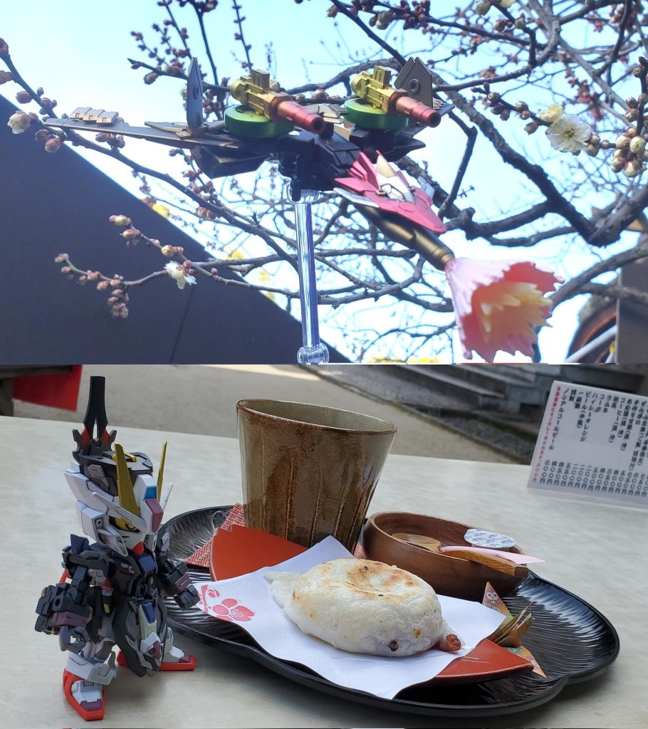 太宰府天満宮でそれぞれ飛梅、梅ヶ枝餅と撮影しました。