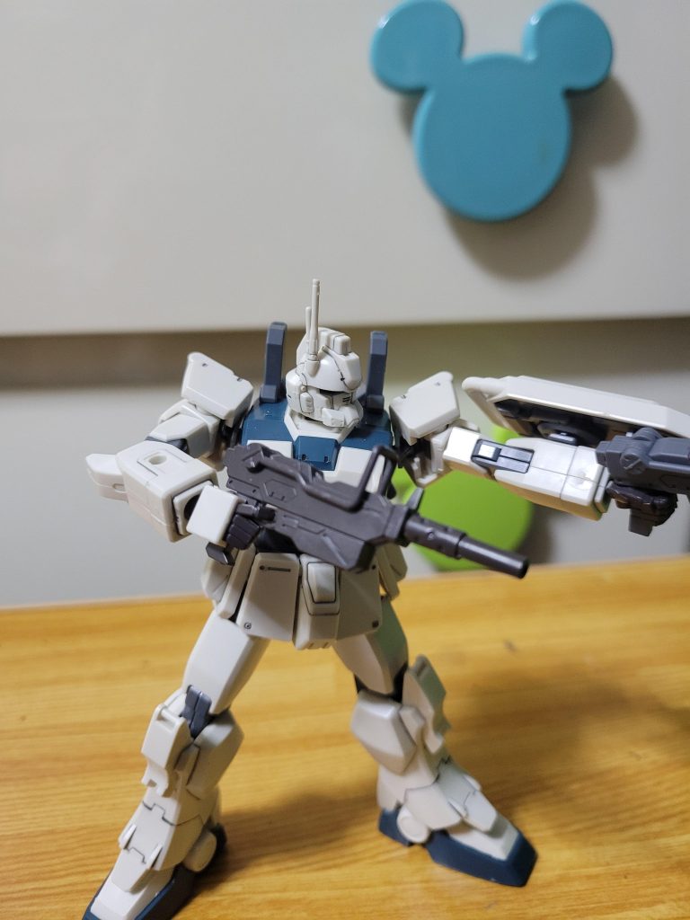 頑張るぞ(ง •̀_•́)ง