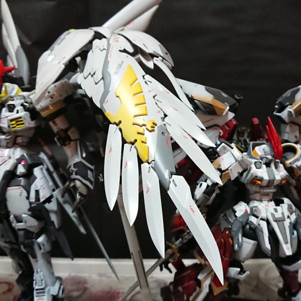 トールギスf[フローラ]