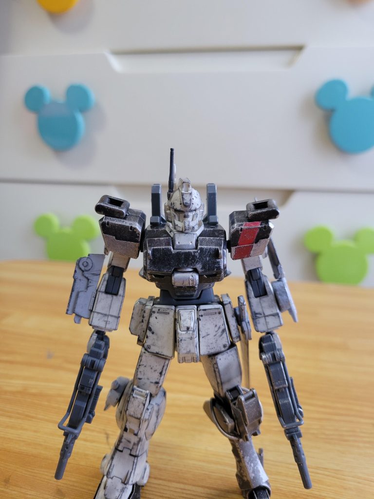 正面から1枚(´・ω・｀)写真からわかるとうり左足が義足になりました