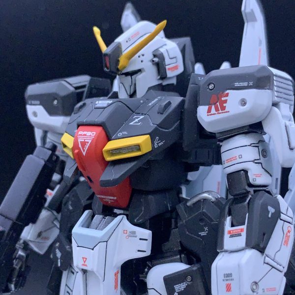 ゼータプラス オリジナルカラー