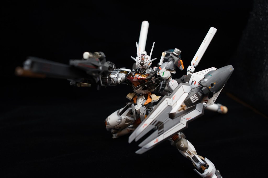 長距離武器を盛りすぎて、この体制がキープできるのは5秒くらいｗ写真取るのが大変でした