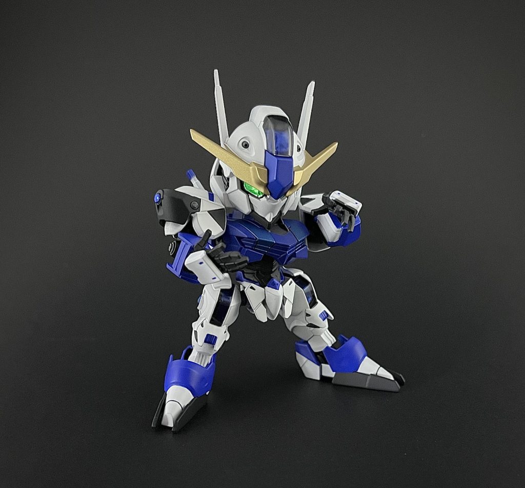 両手を平手にして、ドラゴンフォームの中国拳法っぽい構え！これがやりたかった🤣