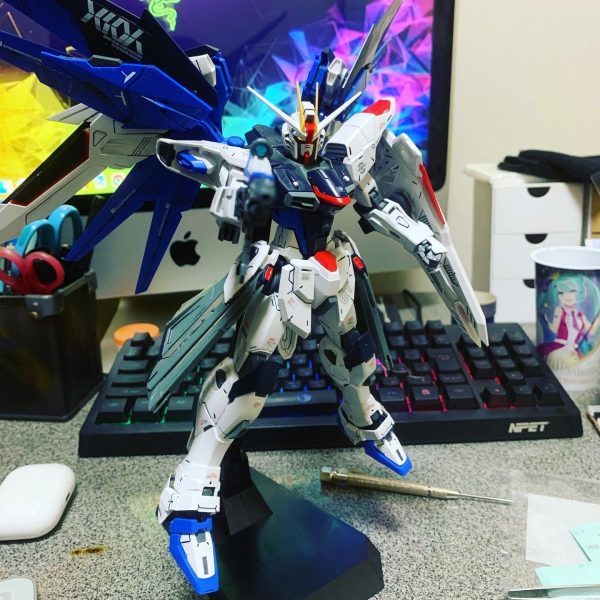 MGフリーダムガンダム ver.2.0