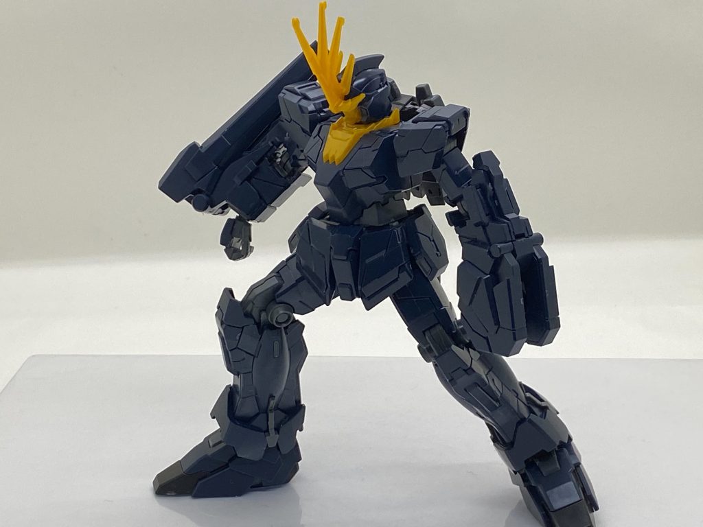 踏ん張りポーズ(*´꒳`*)