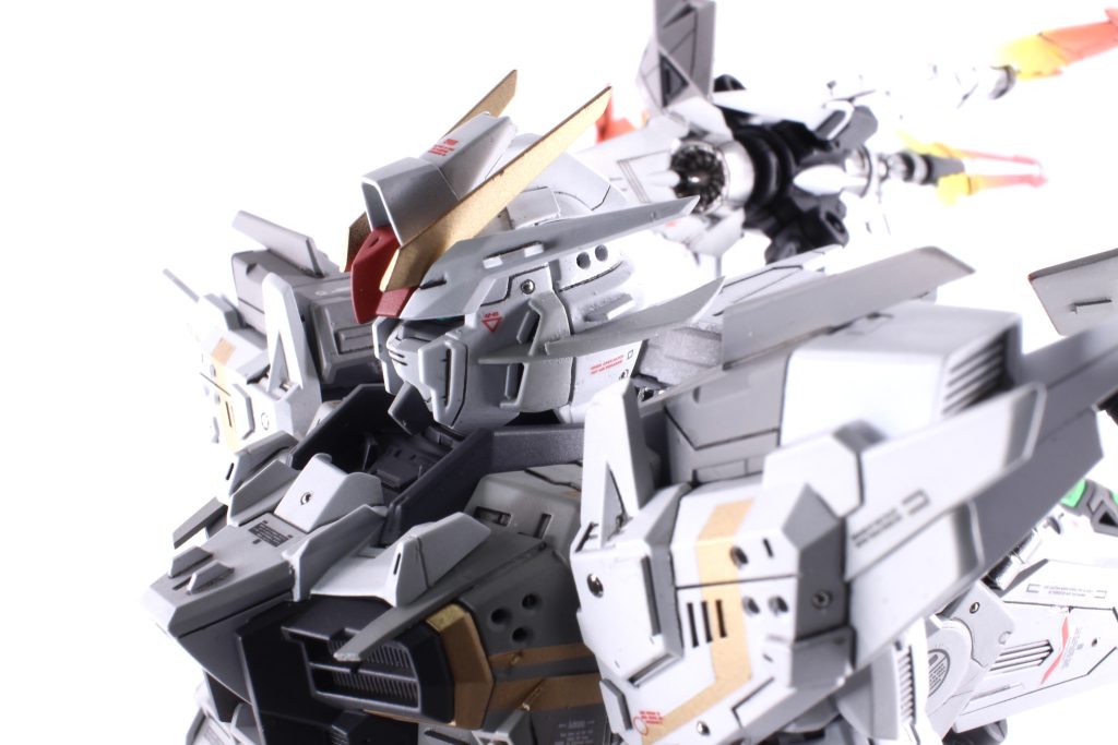 頭部がややこじんまりとした印象だったので「耳」を後方に延長