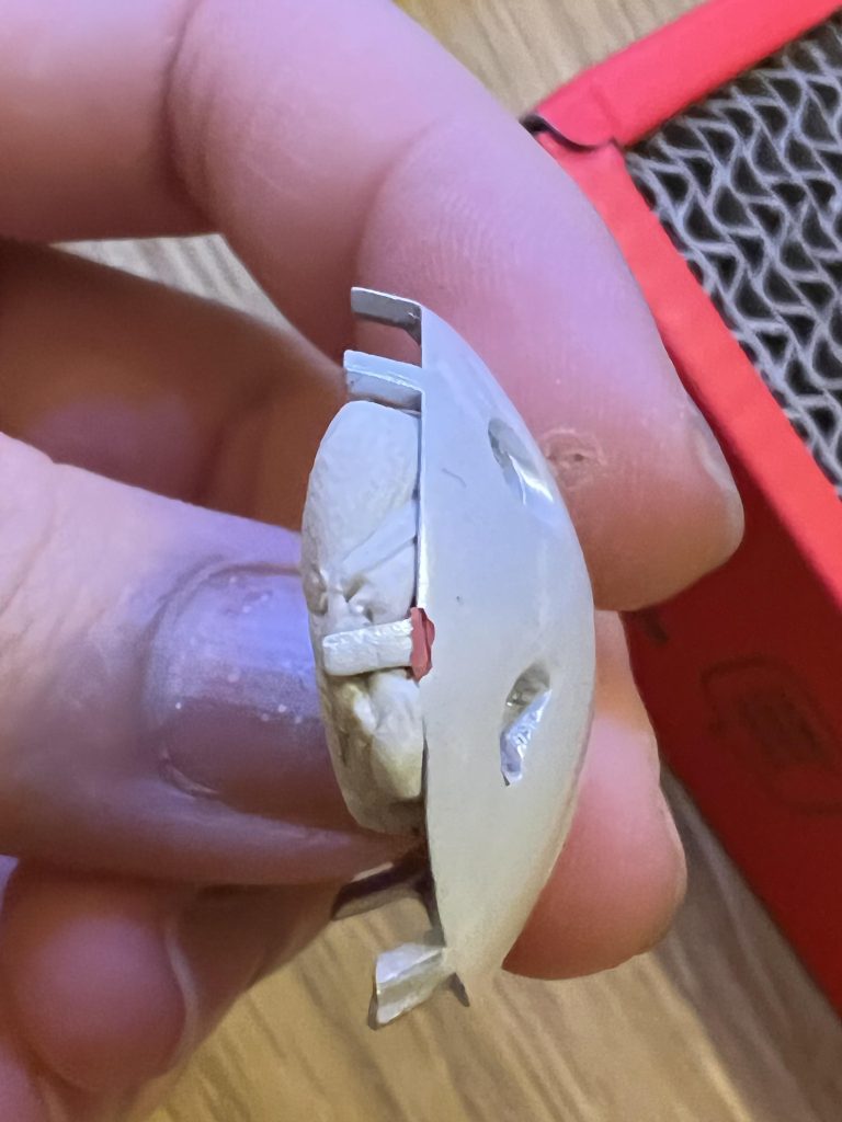 でも頭はダメイジを受けた