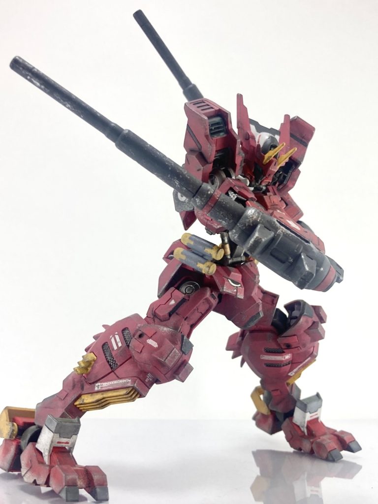 取説を見てポージングしてみましたが、顔面が暗くなってしまった(笑)