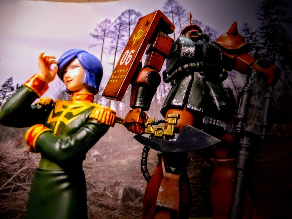 HGUC 034 ガルマ専用ザク–7枚目/制作者:gtarou