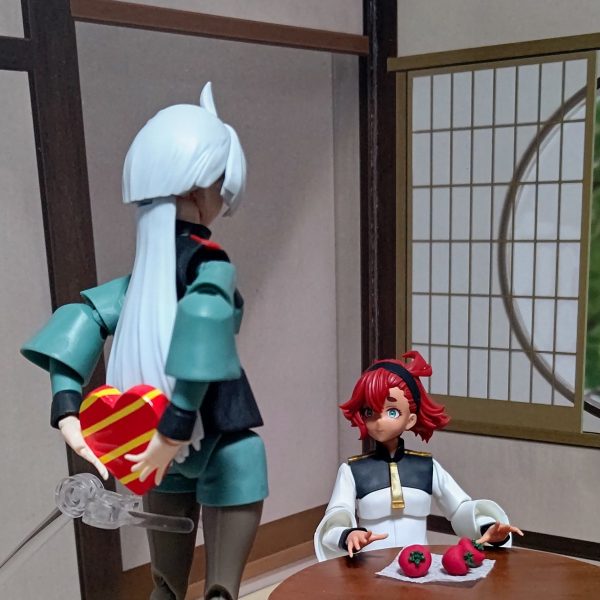 大喜利 写真で一言 VD版