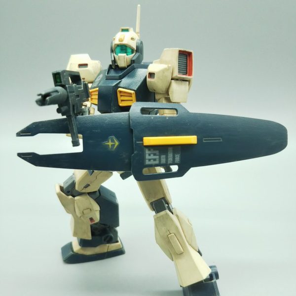 ネモ　デザートカラー