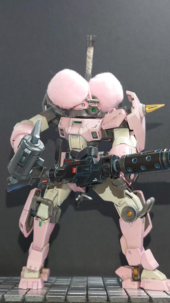 中距離ビームガトリングへ改装し取り回しの良くなかった有線式から外部ソース運用と変更している。所謂蓄電池なので交換可能、戦闘中は内部コンデンサへの供給が終わればパージし軽装化する