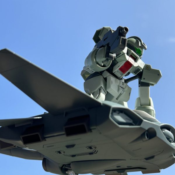 デミトレーナー&ティックバラン