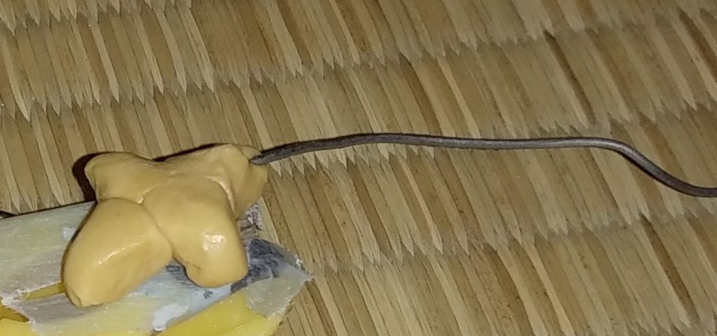 鞭。