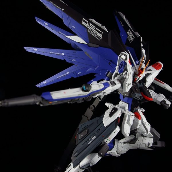 MG フリーダムガンダムver2.0