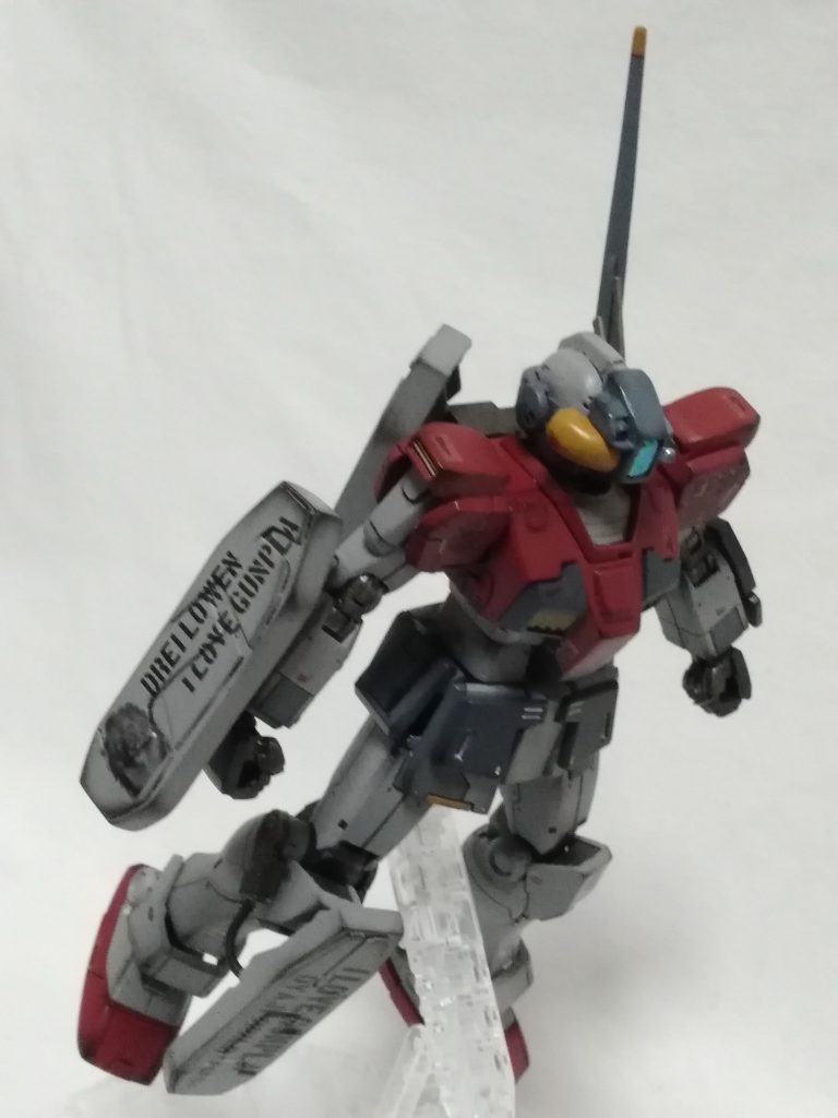 顔面はもう思いっきりジムではないのですが制作コンセプトに忠実に作った結果こうなりました(^▽^;)