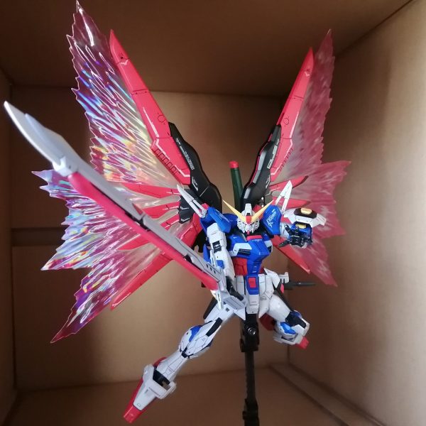 リアルグレード　デスティニーガンダム　RG
