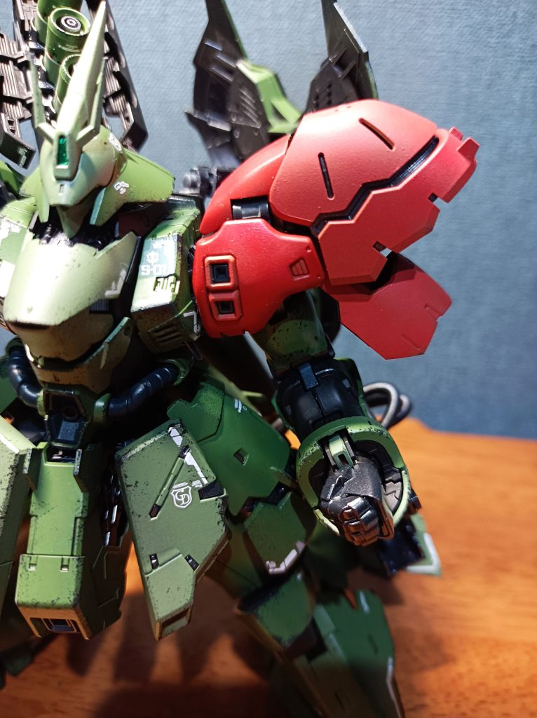 レッドショルダー！！！