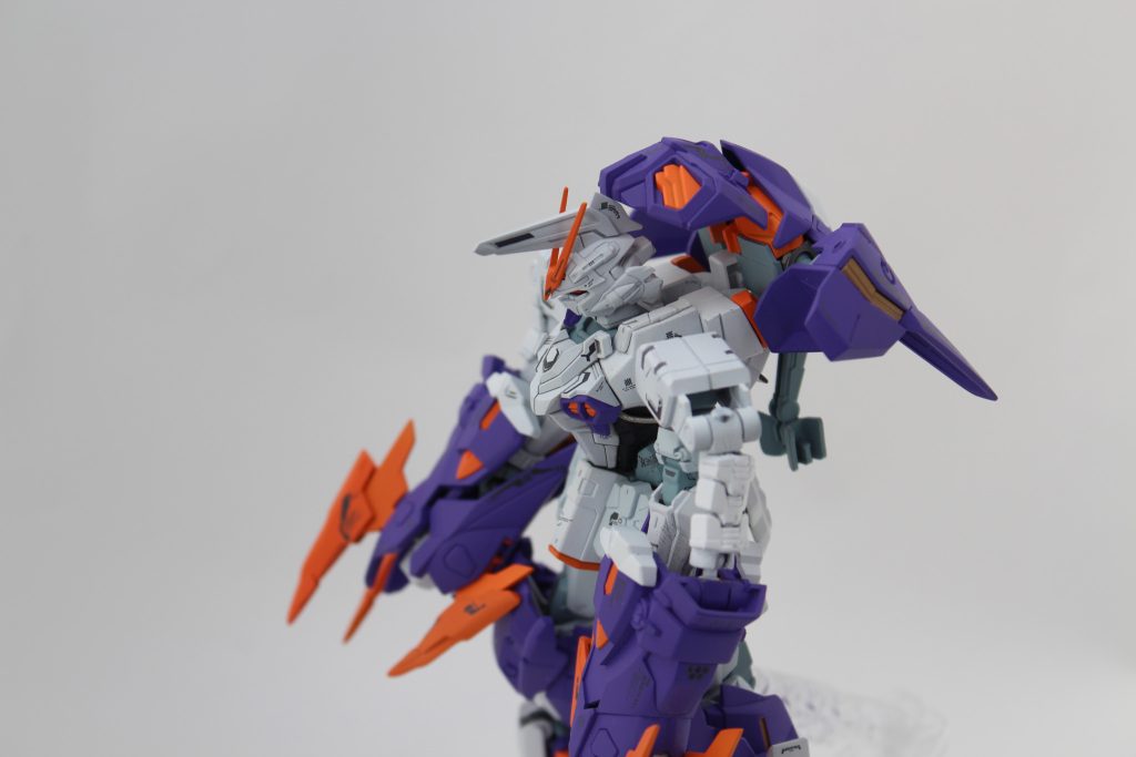 ちまたではズゴックガンダムと呼ばれていますが爪が優しかったのでとがらせました。