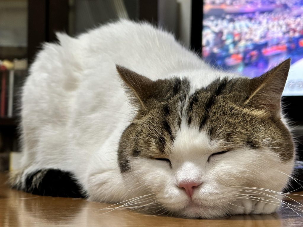 ご覧いただきありがとうございました。皆様、たのしい創作活動をお過ごしください。