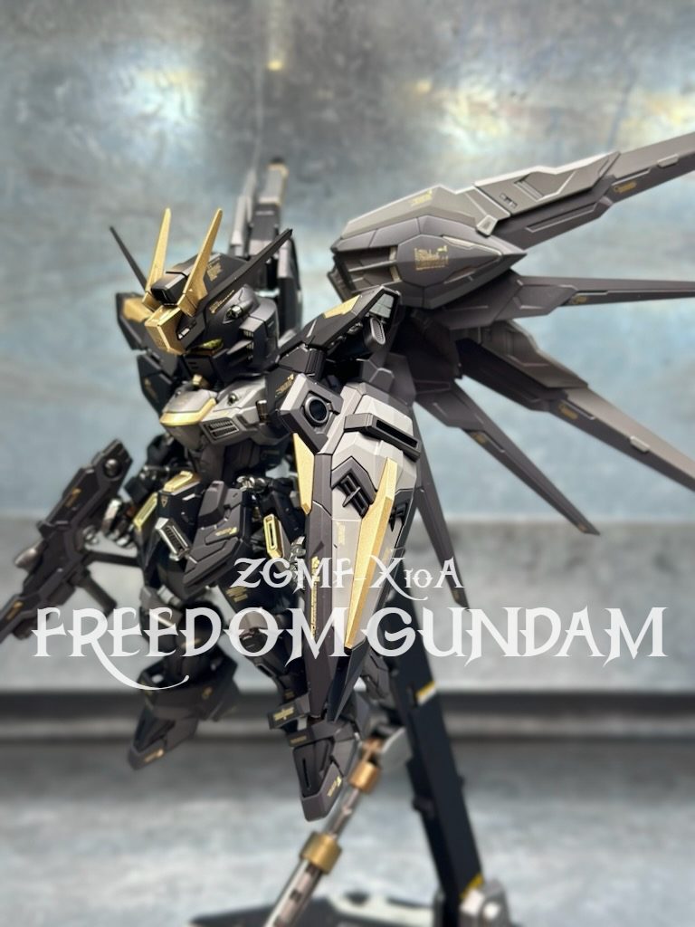 MGSD フリーダムガンダム 素組 墨入れ - 通販 - gofukuyasan.com