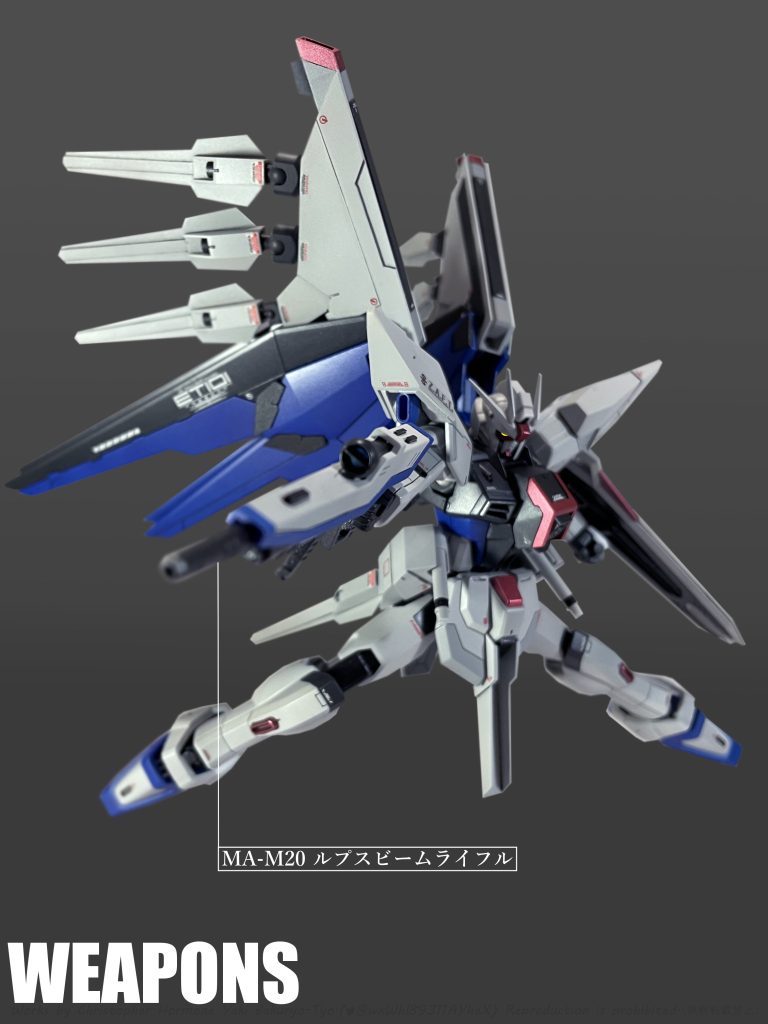 頭部には「MMI-GAU2 ピクウス76mm近接防御機関砲」を備える。「MA-M20 ルプスビームライフル」「MA-M01 ラケルタ ビームサーベル」「ラミネートアンチビームシールド」はいずれも「フリーダム」「ジャスティス」との共通装備である。