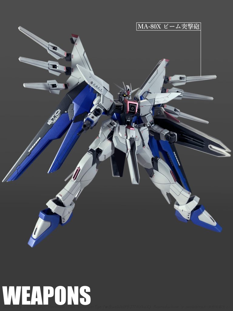 本機のドラグーン端末は本体との接続状態においても可動式ビーム砲として使用可能である。重力下におけるドラグーン端末のデッドウェイト化を防ぎつつ、マルチロックオンシステムを利用した多彩な攻撃バリエーションを持つ。同じくドラグーン搭載機である「ZGMF-X666S レジェンド」にも類似機構が採用された。