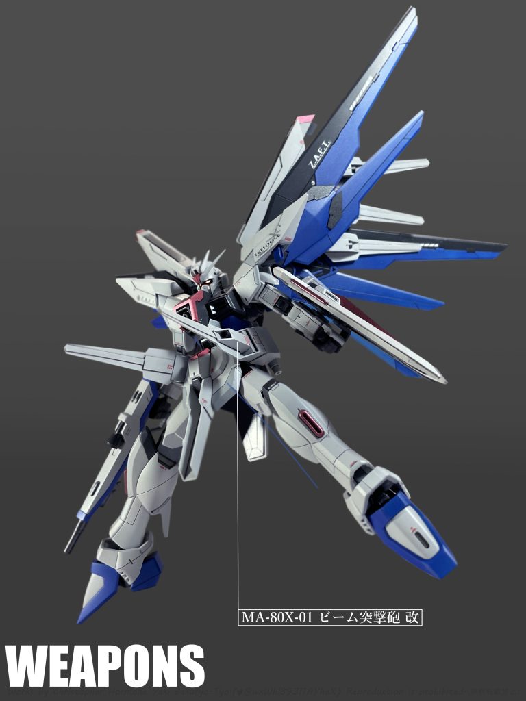 腰部2基のドラグーン端末は格闘用のビームスパイク発生機能を持つ。 「XM1 プリスティス・ビームリーマー」と同じく「ZGMF-600 ゲイツ」の「EEQ7R エクステンショナル・アレスター」の運用方法から着想を得た装備。確実な撃破を可能とする零距離攻撃の他、PS装甲や光波防御シールド等の特殊防御兵装への有効な攻撃手段として用いられる。