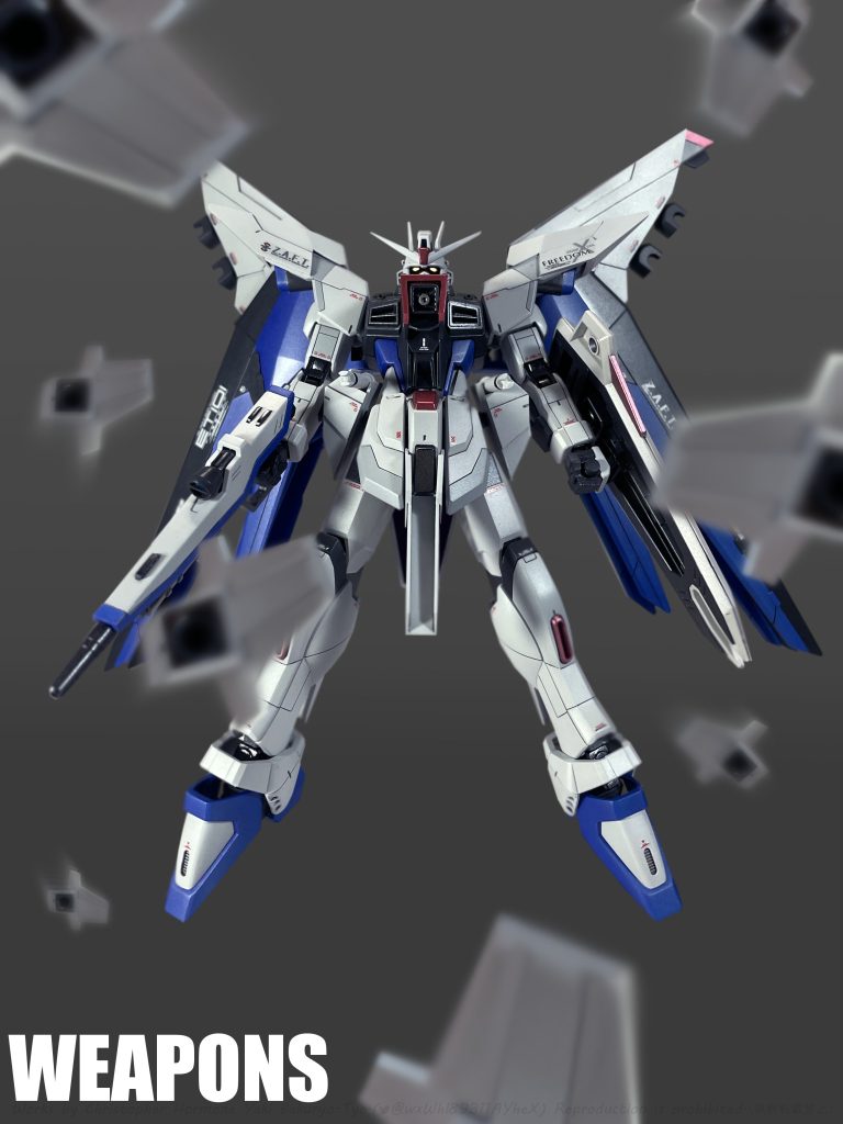 本機のドラグーンシステムは「ZGMF‐X13A プロヴィデンス」のスクエアタイプをベースとした改良型である。 1基に1門のビーム砲を備え。背部に6基、腰部に2基を装備する。「使用者の空間認識能力に依存しない」とされる¨第二世代¨最初期のモデルだが、その機能は完全では無い、そのため¨空間認識力を持つコーディネーター¨がテストパイロットに選定された。