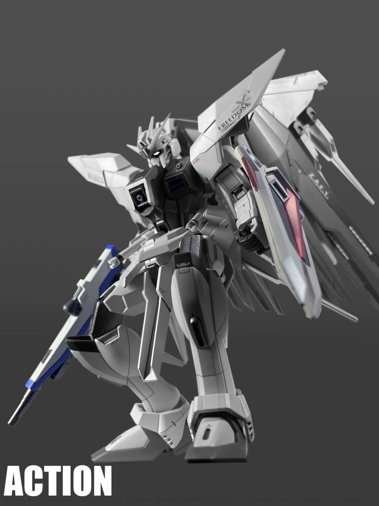 核エンジン搭載の前提となるニュートロンジャマーキャンセラーの軍事利用の禁止が 「ユニウス条約」締結により施行され、条約に抵触していた本機は機体アセンブリー及び統合設計局内の関連データの封印が行われた。