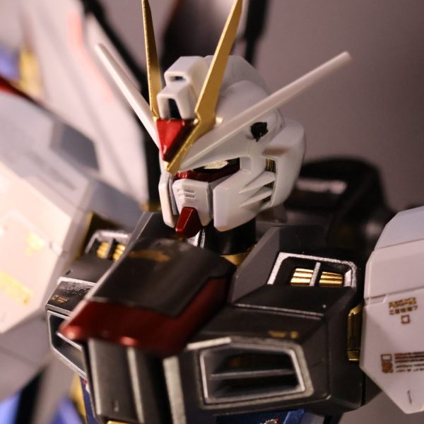 【MGEX買えません】MGストライクフリーダム