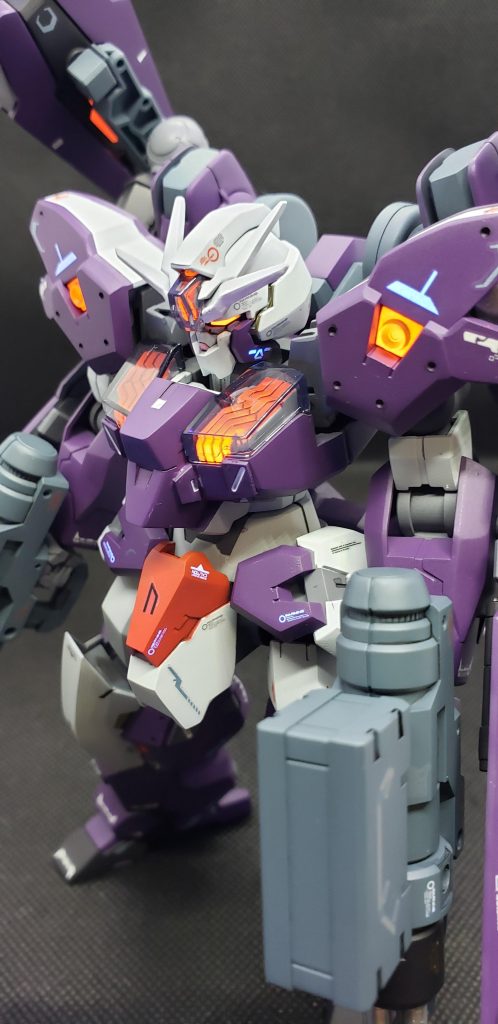 ちょっとアップ( ˙꒳˙  )ファ