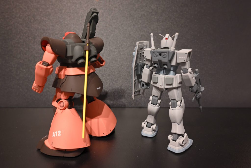 バックショット❗️