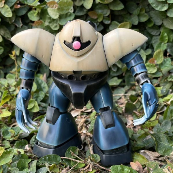 好きな色で塗ったゴッグ