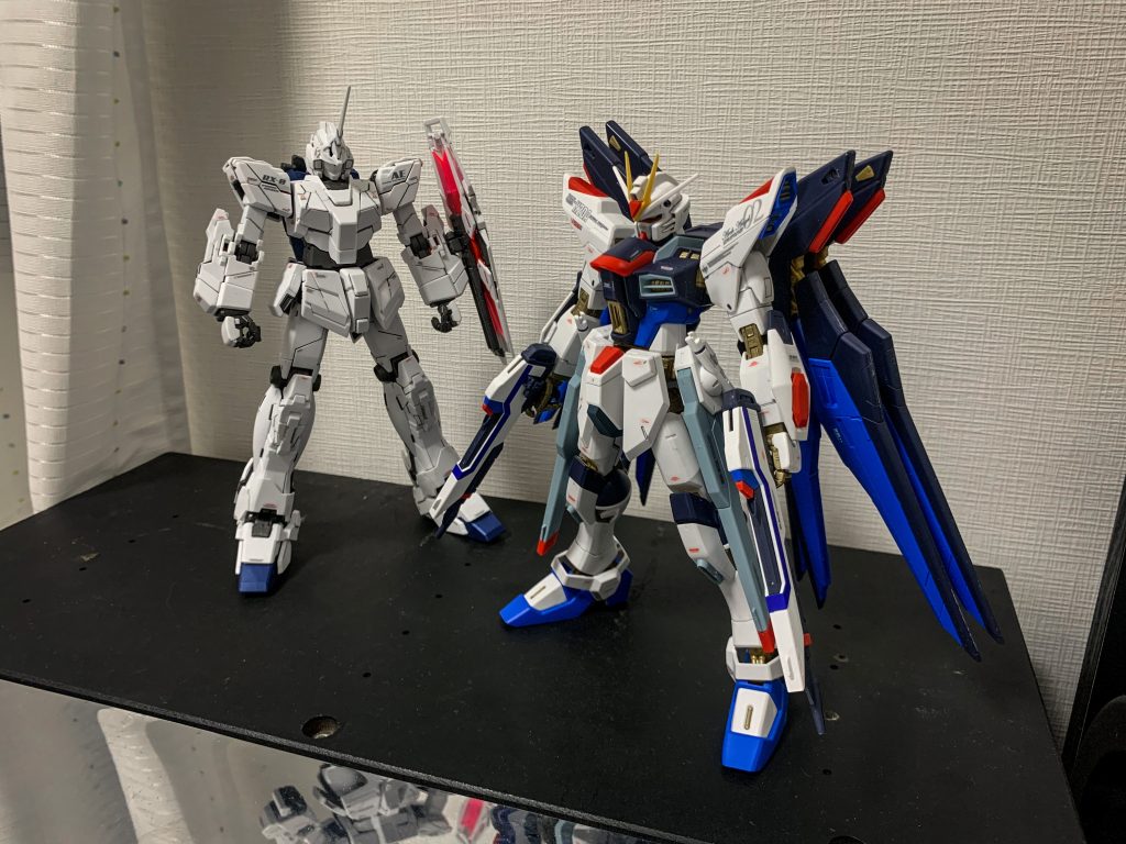 ユニコーンと。巣立ちの写真がこれしかなかったです。