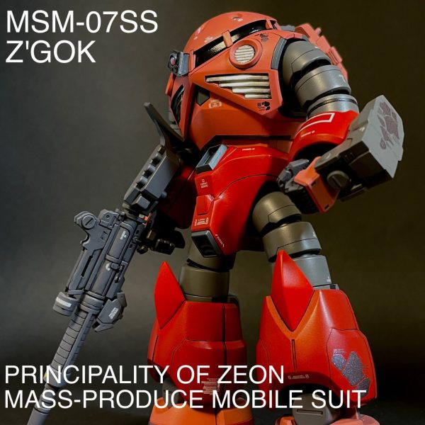 HG シャア専用ズゴック改