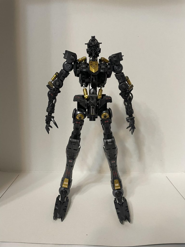 フレーム塗装もして、部分塗装もして、シールも貼ったのに見えなくなると言う、MGあるあるです。